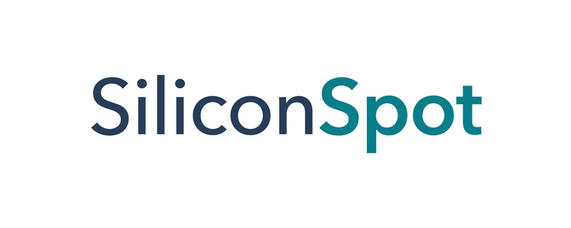 SiliconSpot name artwork